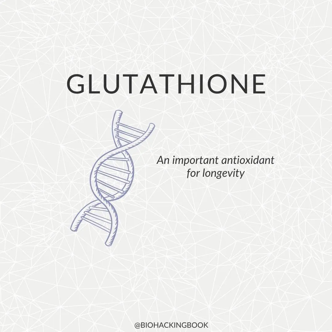 How to Optimally Support Glutathione Levels in the Body? HOLOLIFE Center How to Optimally Support Glutathione Levels in the Body? HOLOLIFE Center