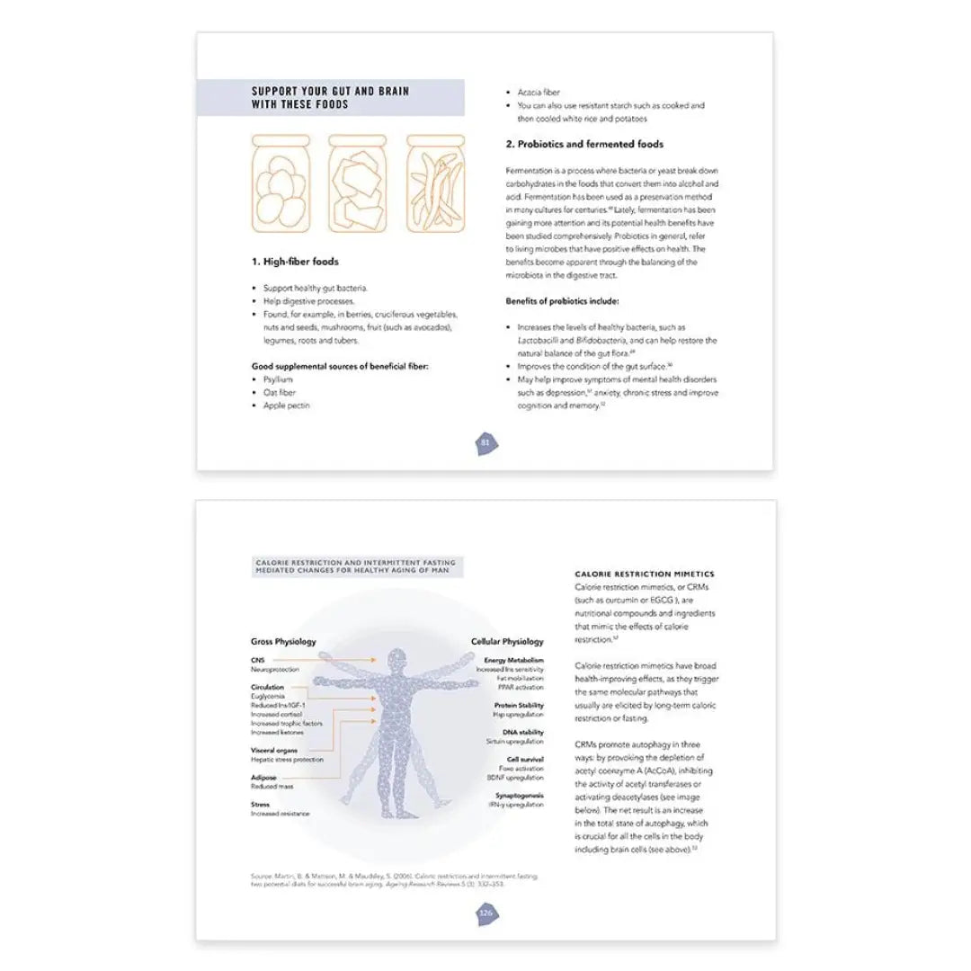 Biohacker’s brain nutrition guide: boost energy