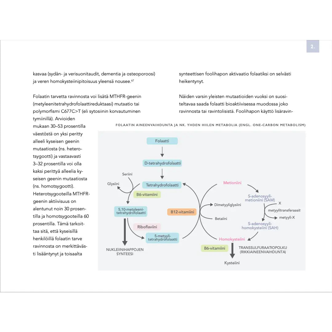 Biohakkerin ravitsemusopas (painettu kirja) - book