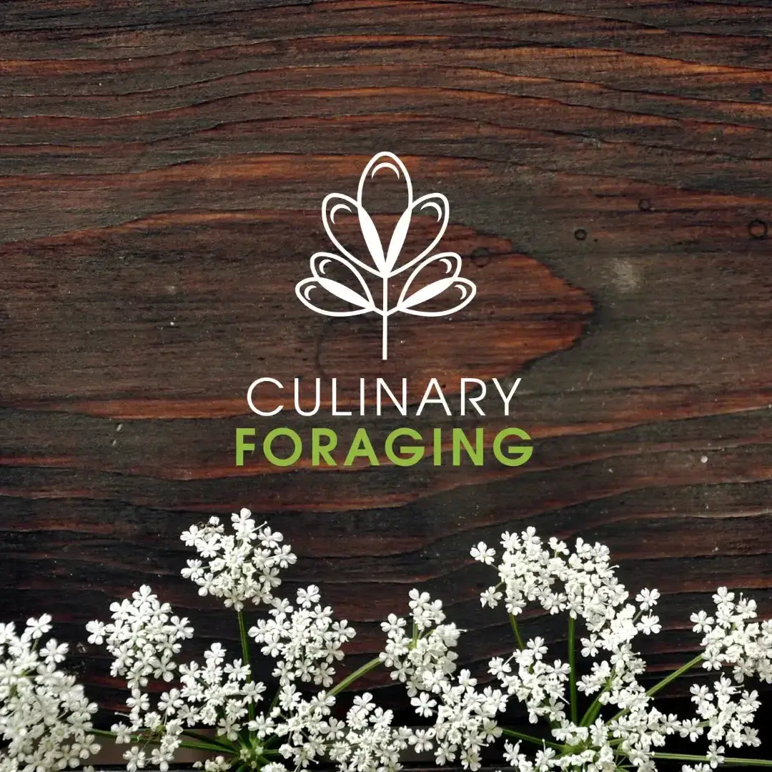 Culinary foraging - online course with master chef sami