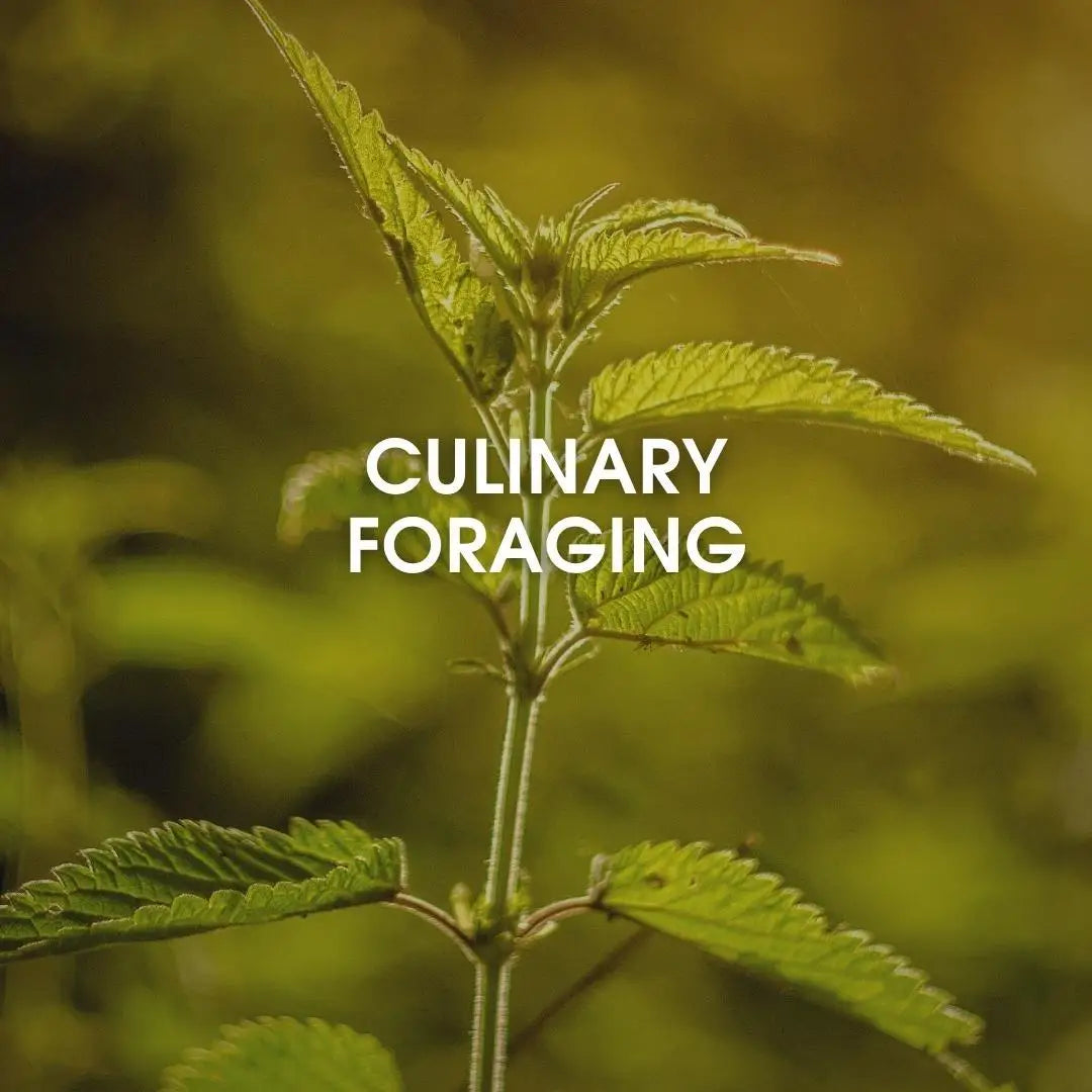 Culinary foraging - online course with master chef sami