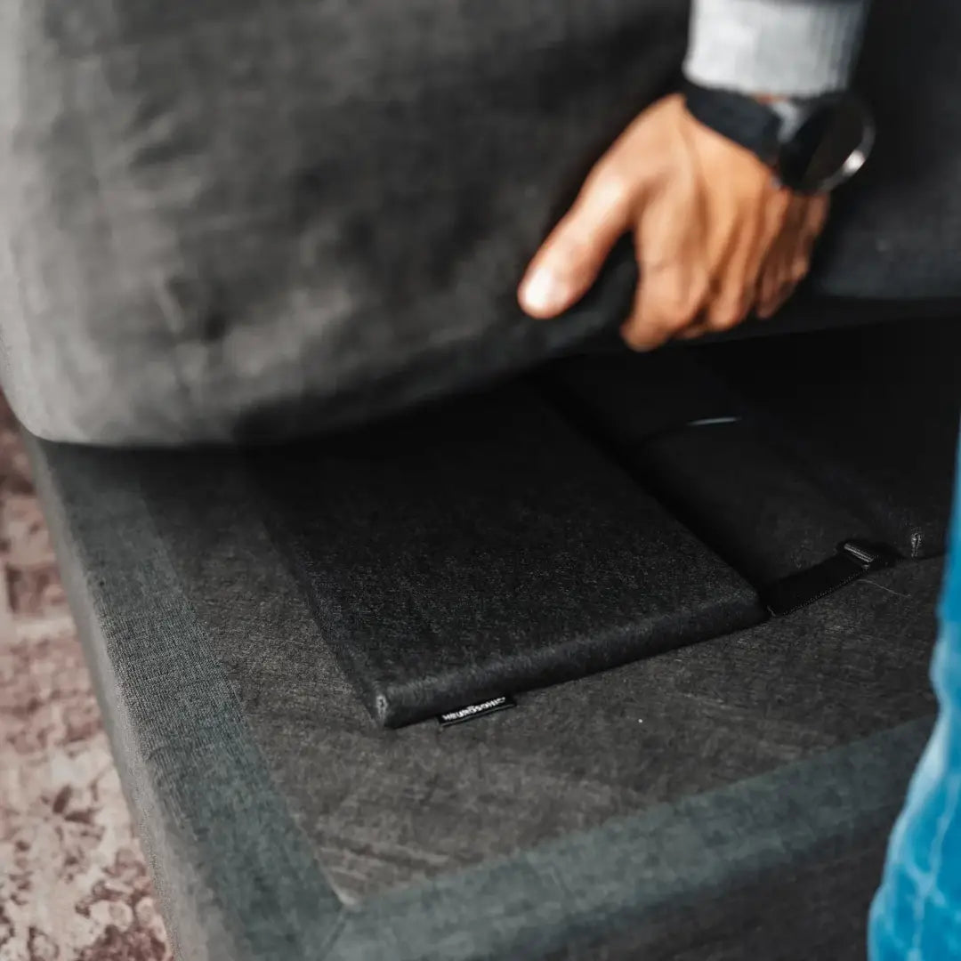 Neurosonic harmonia - device