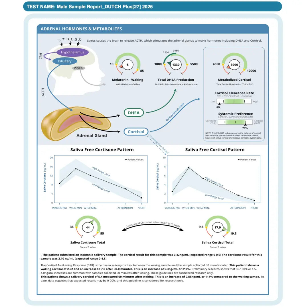 Nordic laboratories dutch plus - medical test