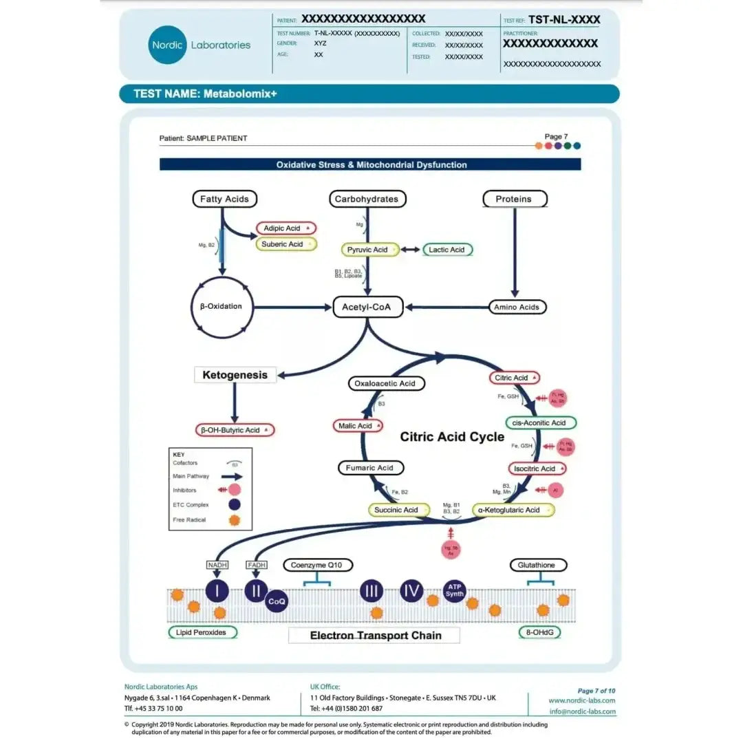 Nordic laboratories metabolomix+ (nutrition and metabolism