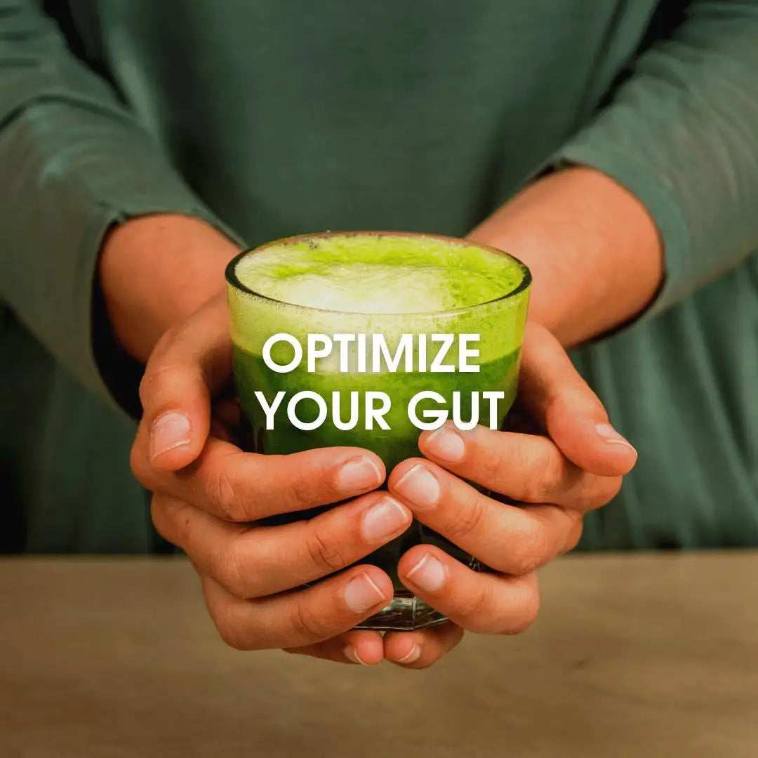 Optimize your gut - online course