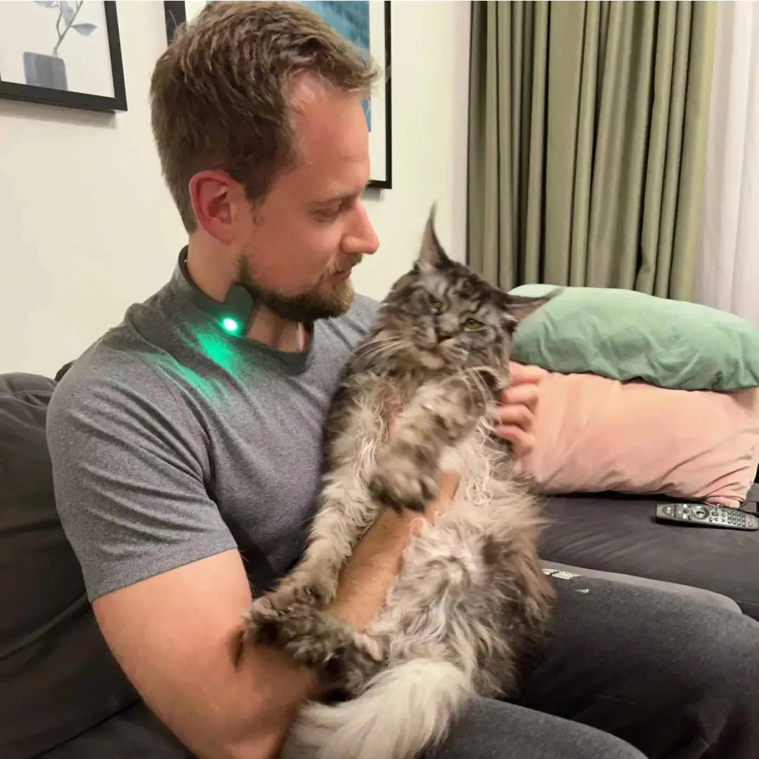 Pulsetto lite - device