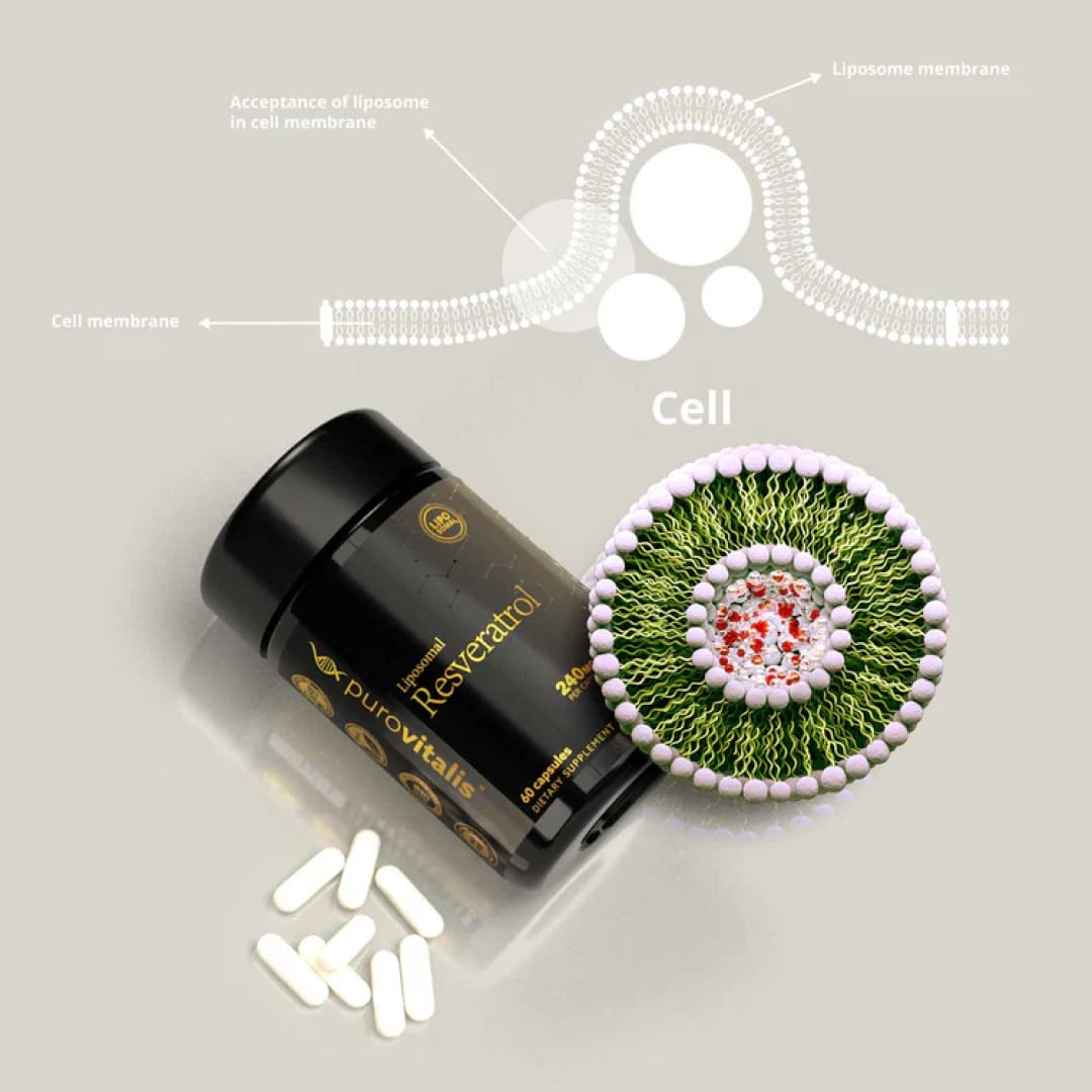 Purovitalis Liposomal Resveratrol (60 Kappen)