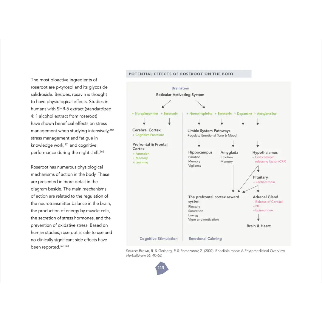 The resilient being: mastering the biology of stress &