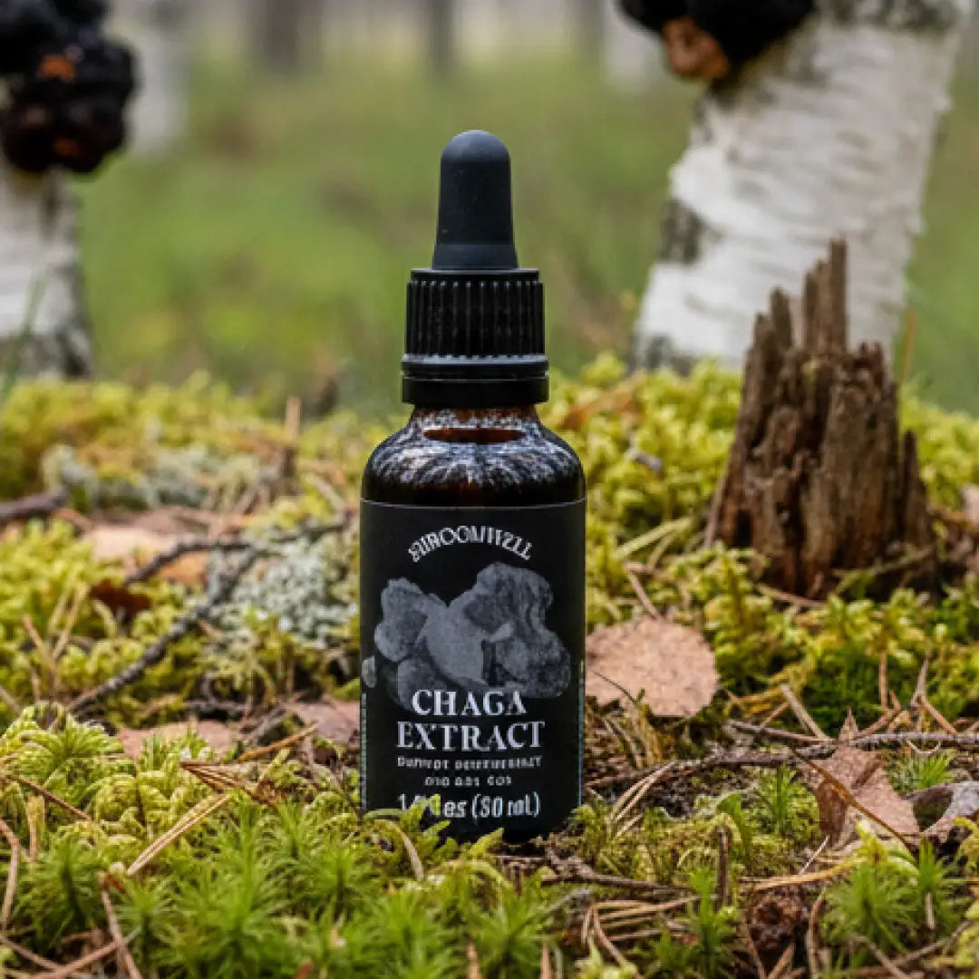 Shroomwell chaga extract (30 ml) - supplement