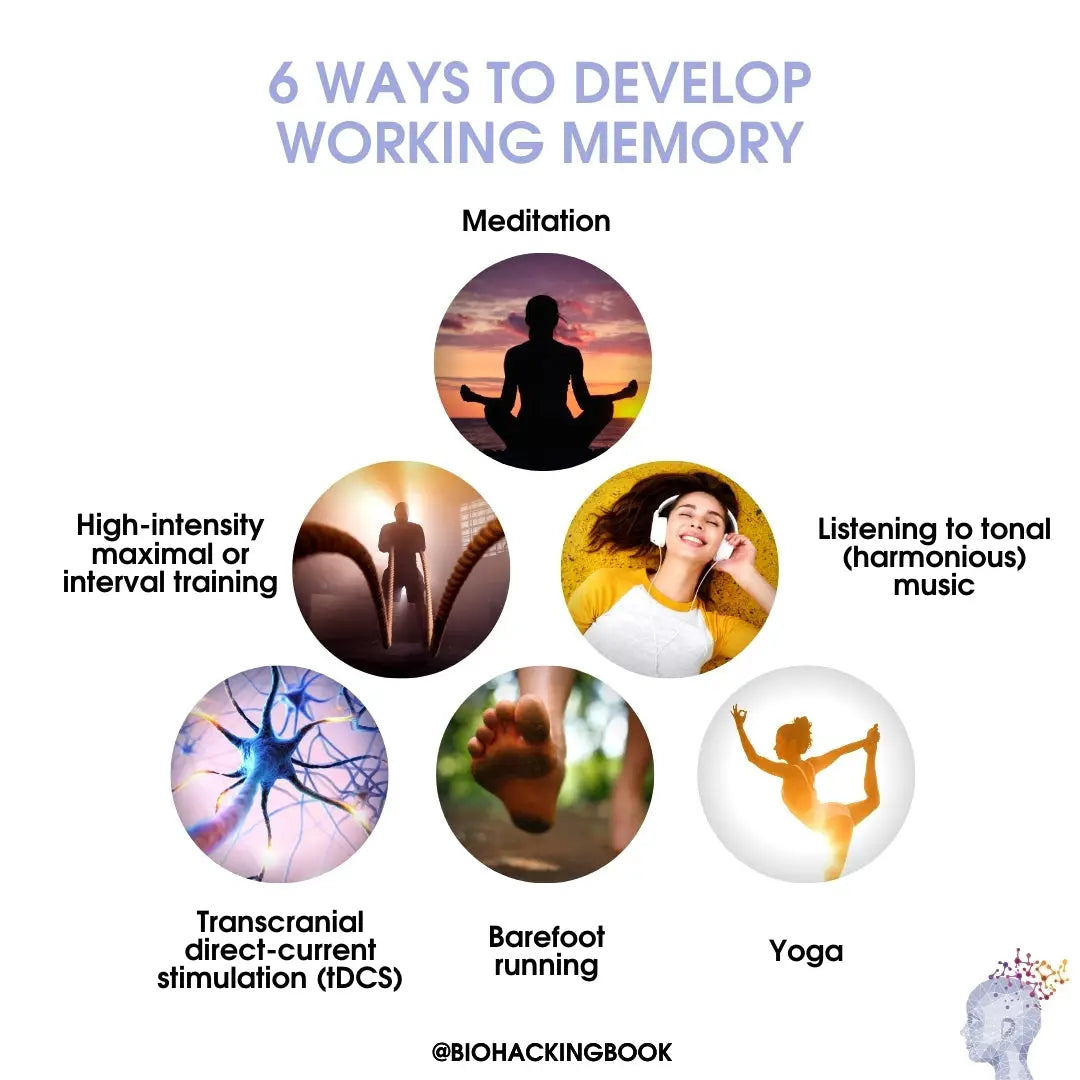 6 Ways To Develop Working Memory – HOLOLIFE Center