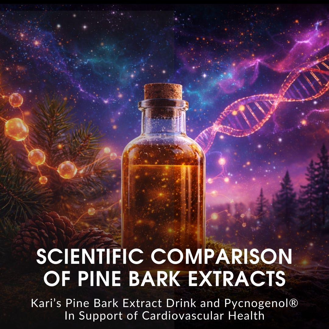 Scientific Comparison of Pine Bark Extracts: Kari's Pine Bark Extract Drink and Pycnogenol® in Support of Cardiovascular Health