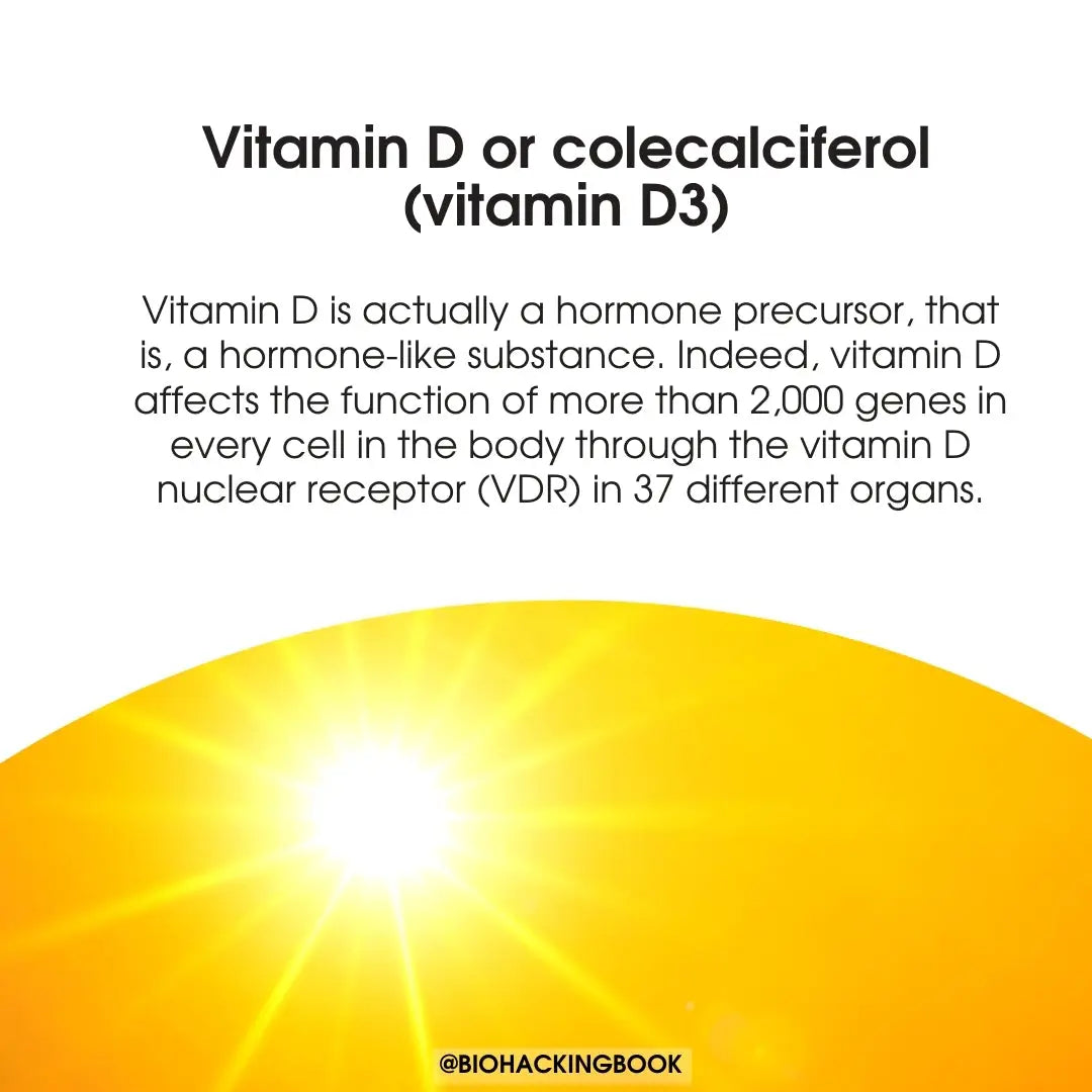 Everything you need to know about vitamin D