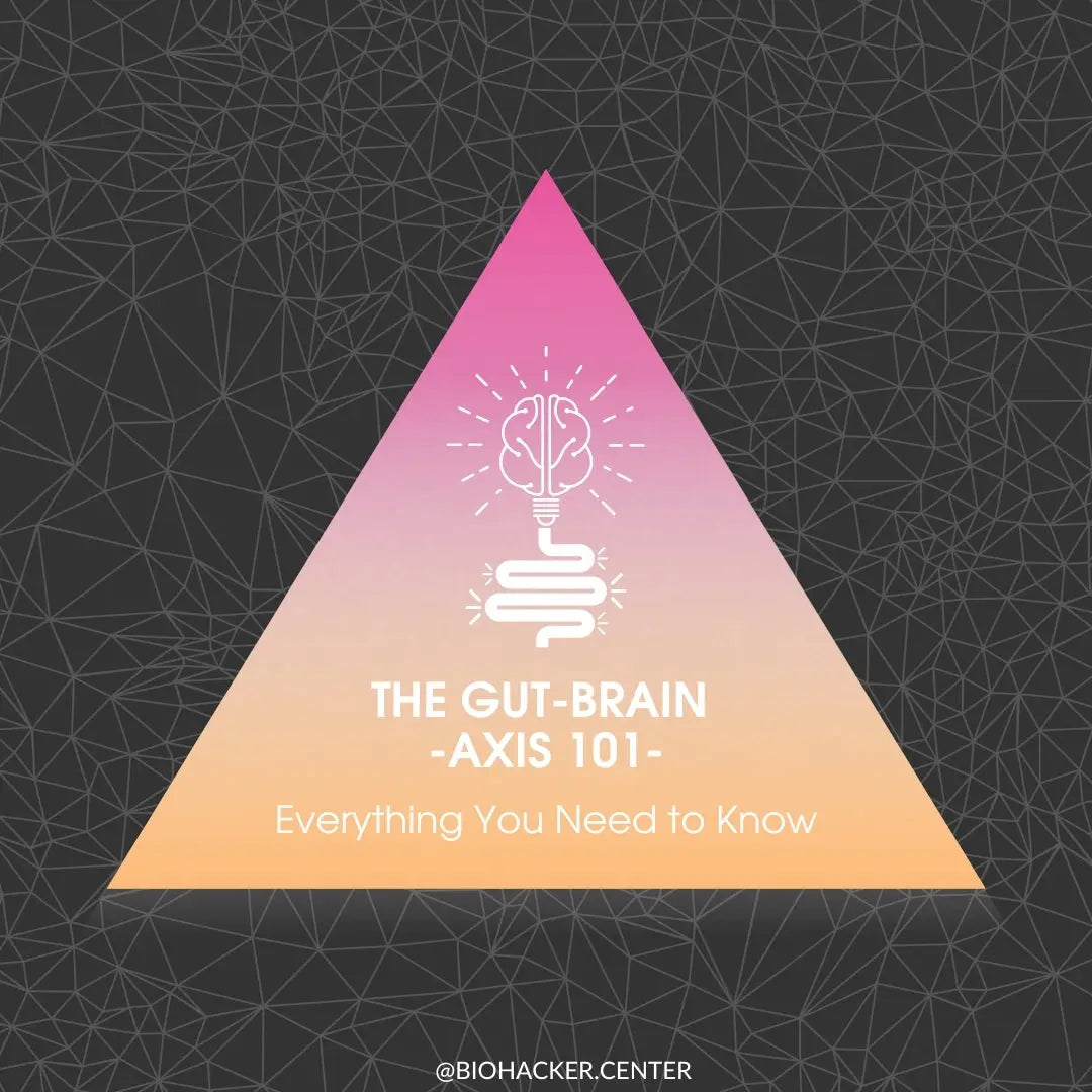 The Gut-Brain-Axis 101 – Everything You Need to Know