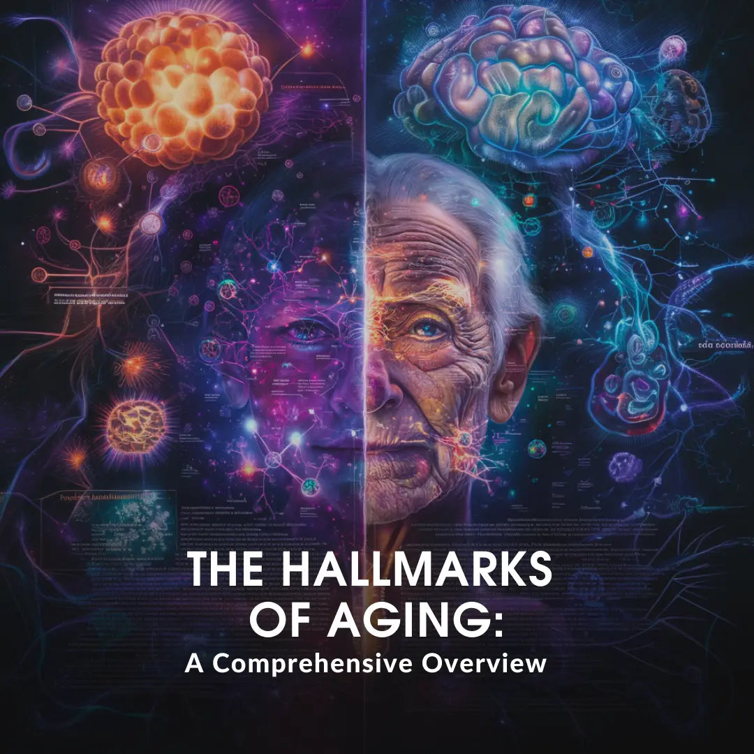 The hallmarks of aging: a comprehensive overview