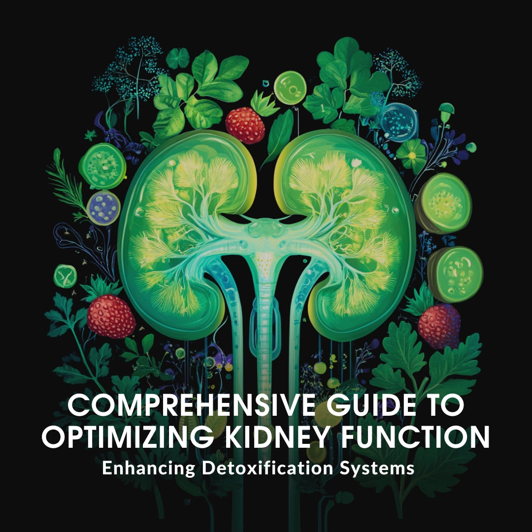 Comprehensive Guide to Optimizing Kidney Function: Enhancing Detoxification Systems