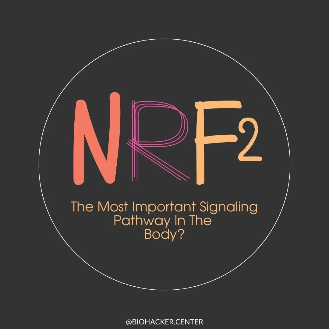 Nrf2 - The Most Important Signaling Pathway In The Body?