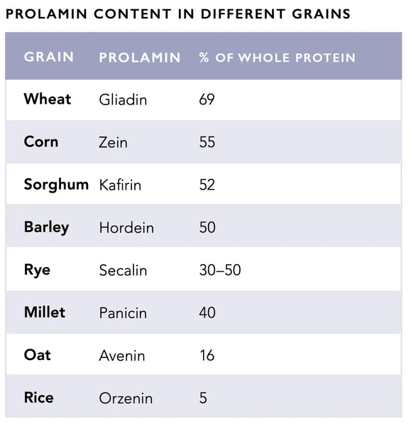 Optimalizujte funkci střev: Kompaktní průvodce