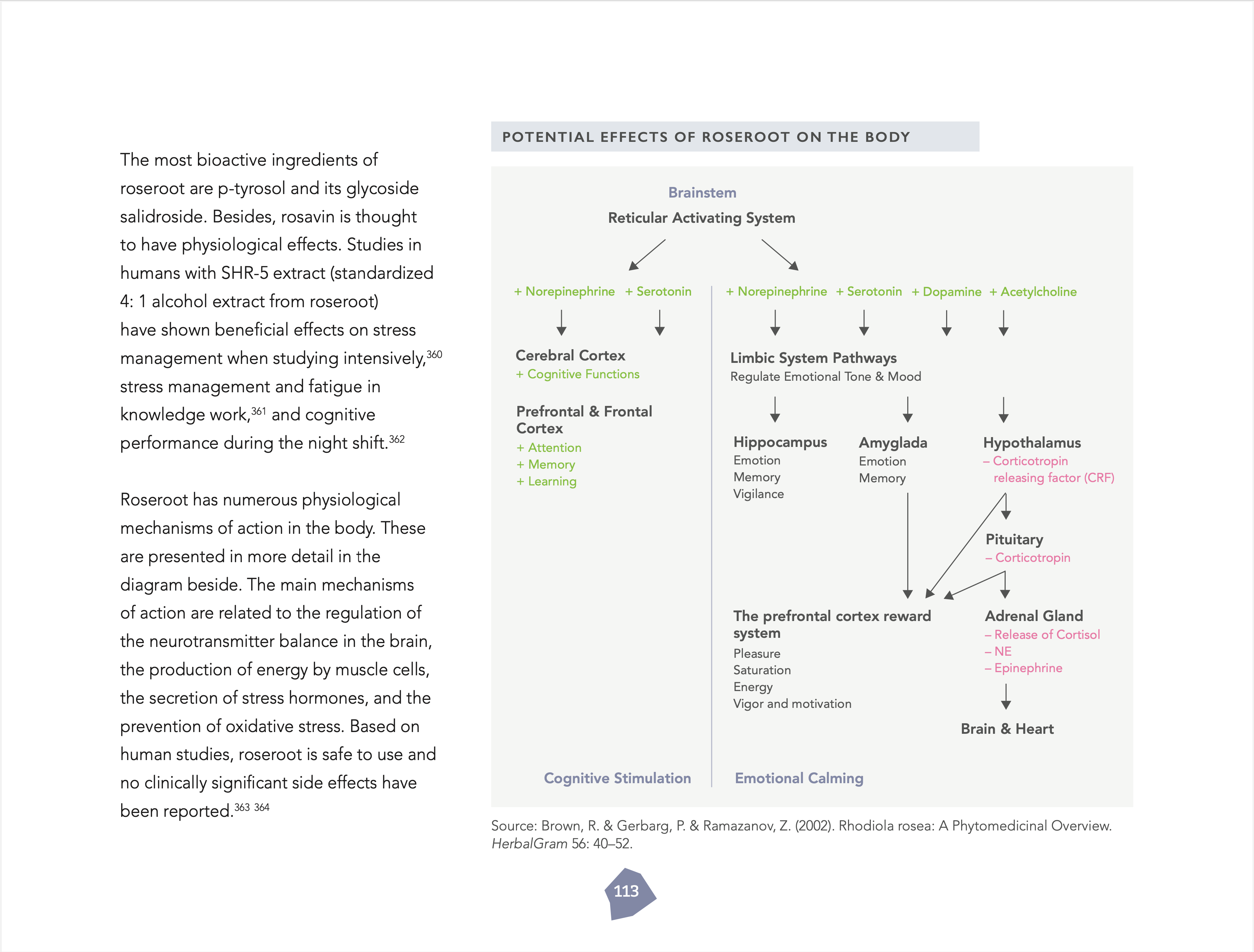 The Resilient Being: Mastering the Biology of Stress & Resilience (hardcover)