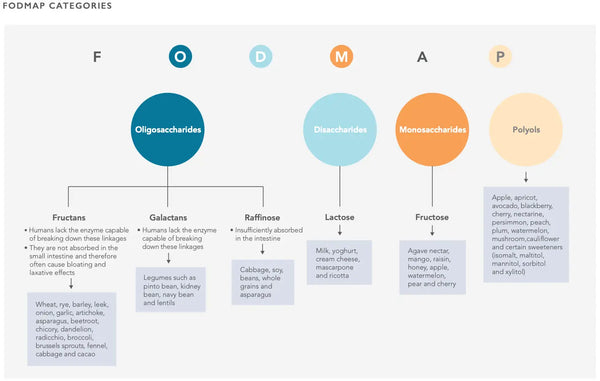 SIBO (Small Intestinal Bacterial Overgrowth): Symptoms