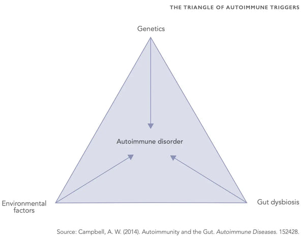 Optimizing Thyroid Hormone Health: A Comprehensive Guide