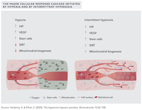 The holy trinity of recovery: hyperbaric oxygen cryotherapy