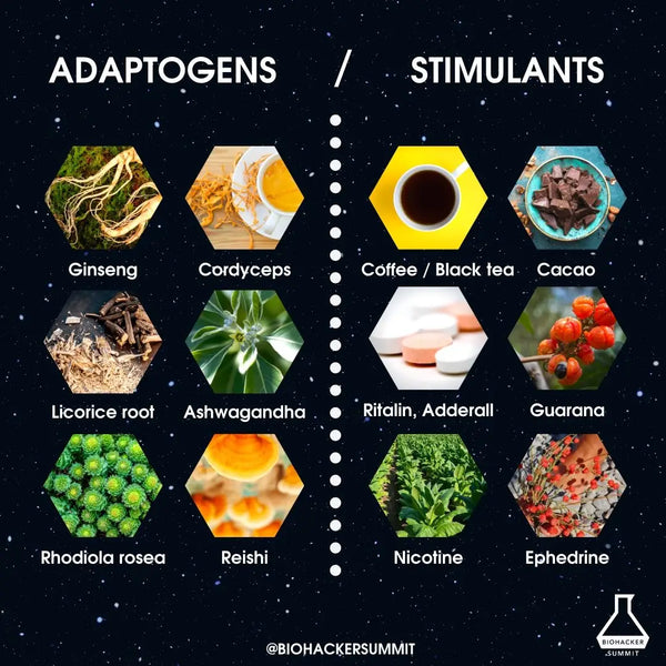 Topp 5 adaptogena örter för ökad stresstålighet