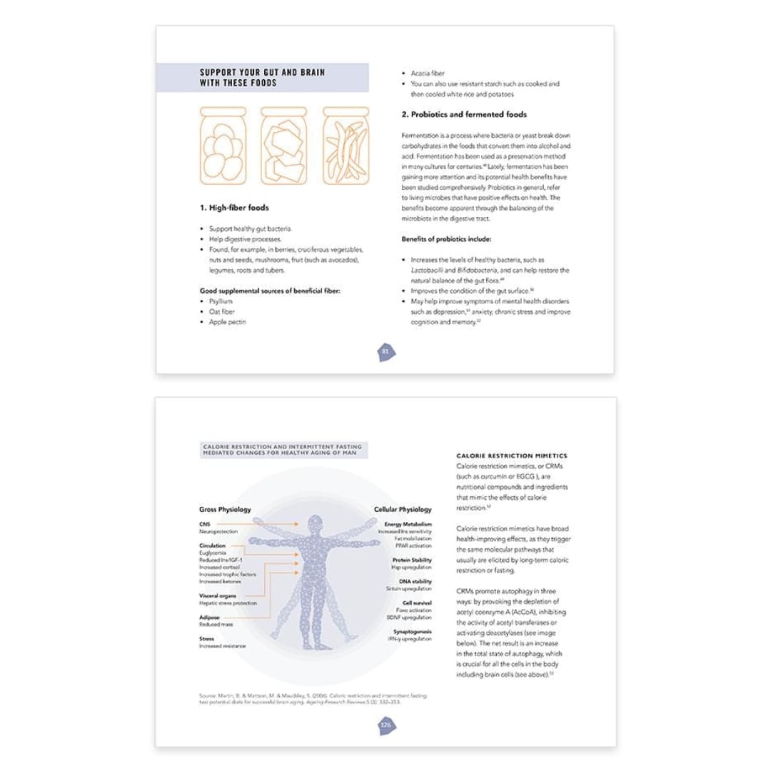 Biohacker Center E-books Biohacker's Brain Nutrition Guide: An Introduction to Foods, Nutrients and Supplements That Can Boost Energy, Productivity and Mood (e-book)