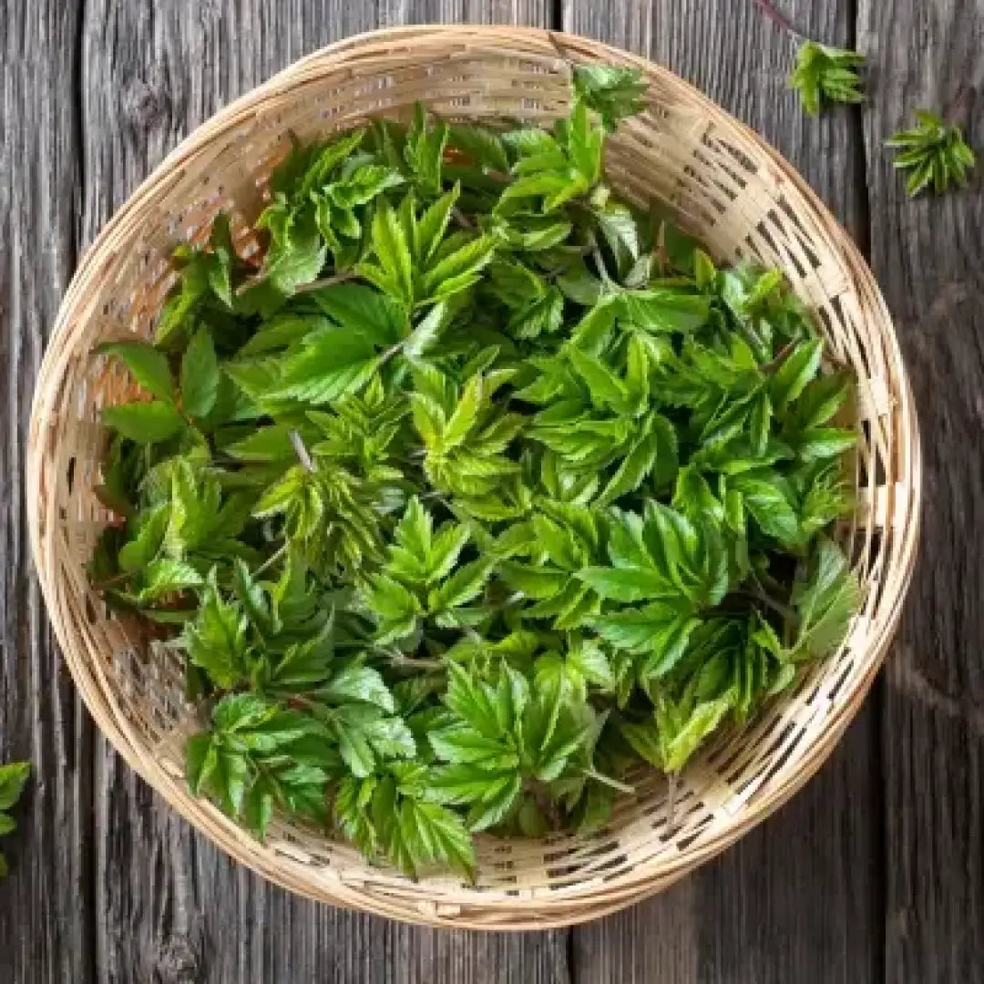 Culinary foraging - online course with master chef sami