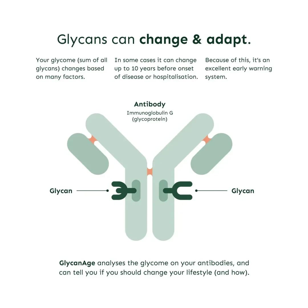 GlycanAge Blood Test (Measure aging)