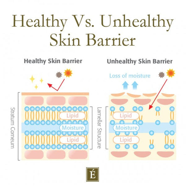 Biohacker's Skin Care 101 - Allt du behöver veta