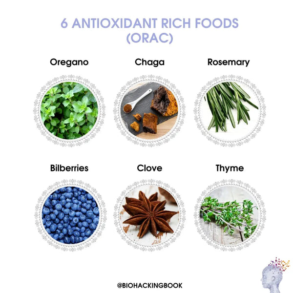 Antioxidanty a oxidační stres - příliš mnoho nebo málo?