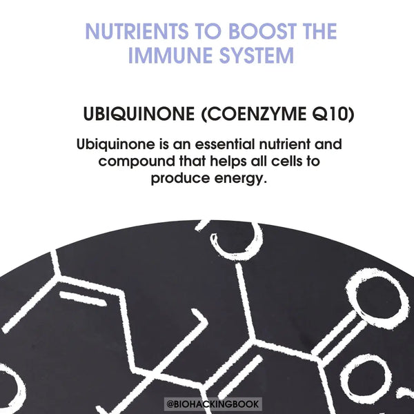 6 živin pro podporu regenerace po cvičení