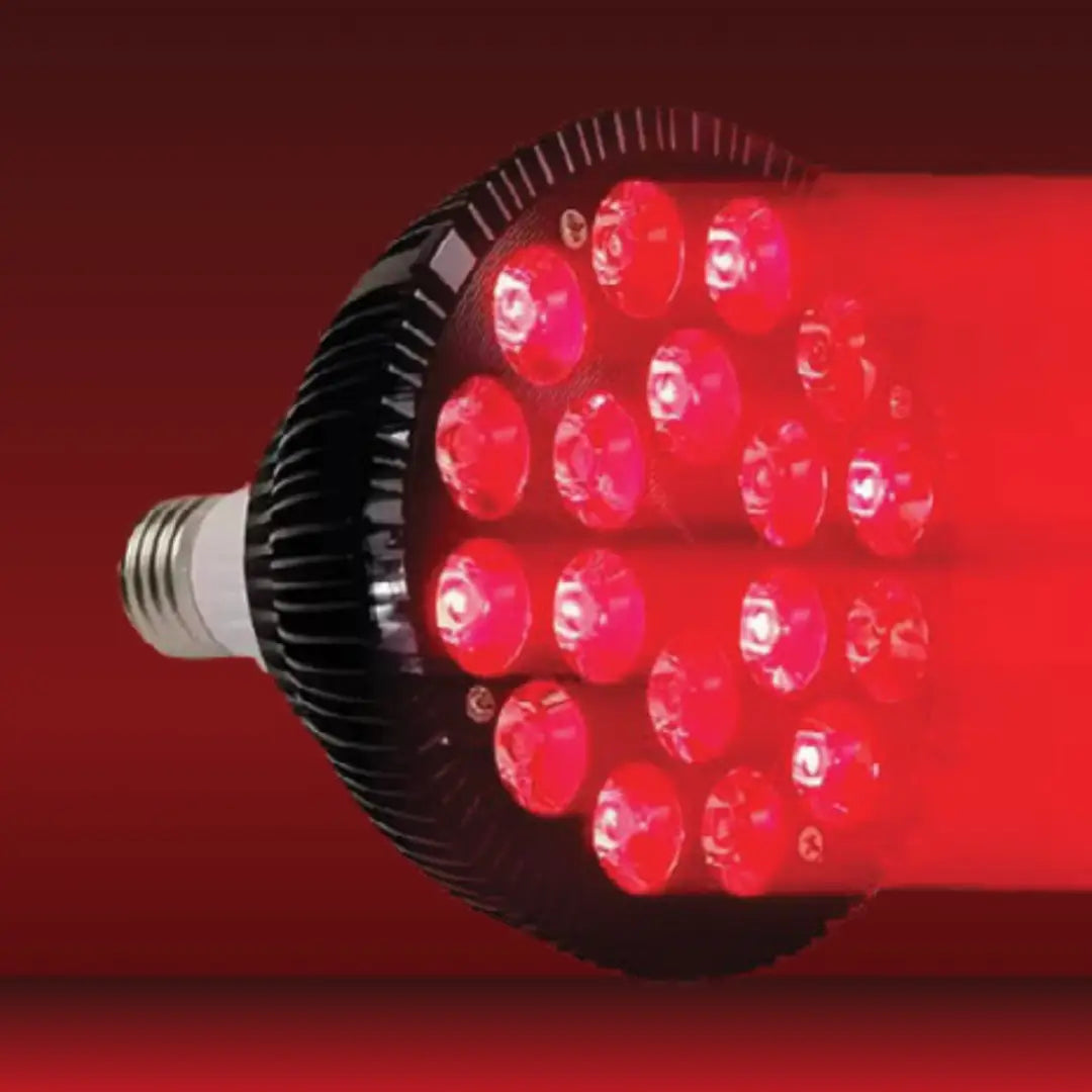 Redzen photobiomodulation spotlight - device