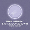 Small intestinal bacterial overgrowth test (sibo)