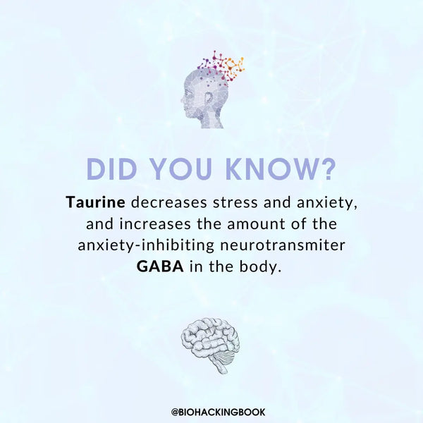 Top 6 Supplements for Balancing Oxidative Stress